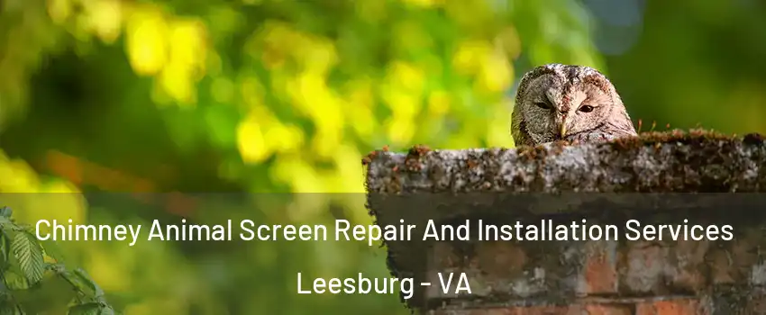  Chimney Animal Screen Repair And Installation Services Leesburg - VA