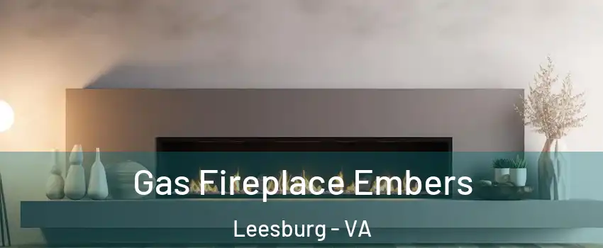  Gas Fireplace Embers Leesburg - VA