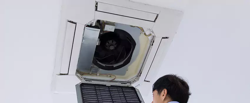 Benefits of Professional Air Duct Cleaning in Leesburg, Virginia