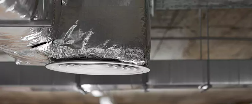 Signs of Dust Accumulation in Vents in Leesburg, VA