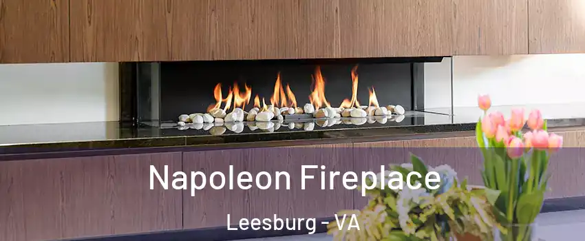  Napoleon Fireplace Leesburg - VA