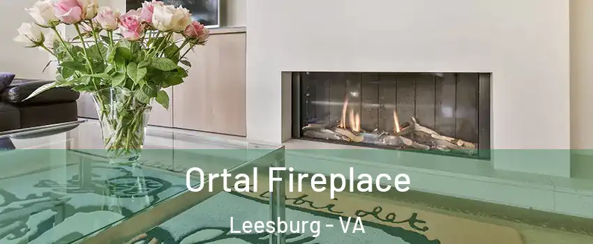 Ortal Fireplace Leesburg - VA